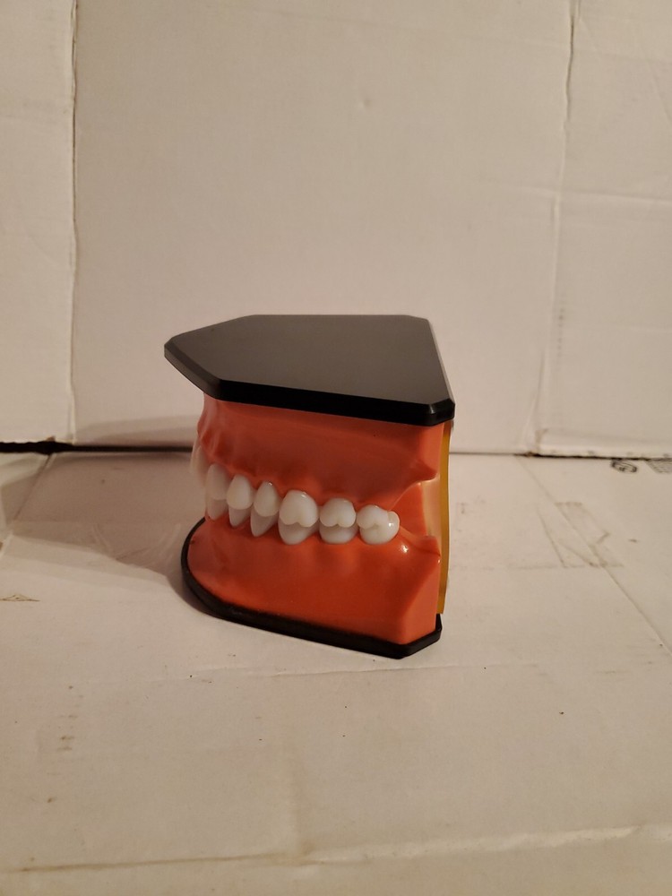 Columbia Dental Form Teeth Dentistry