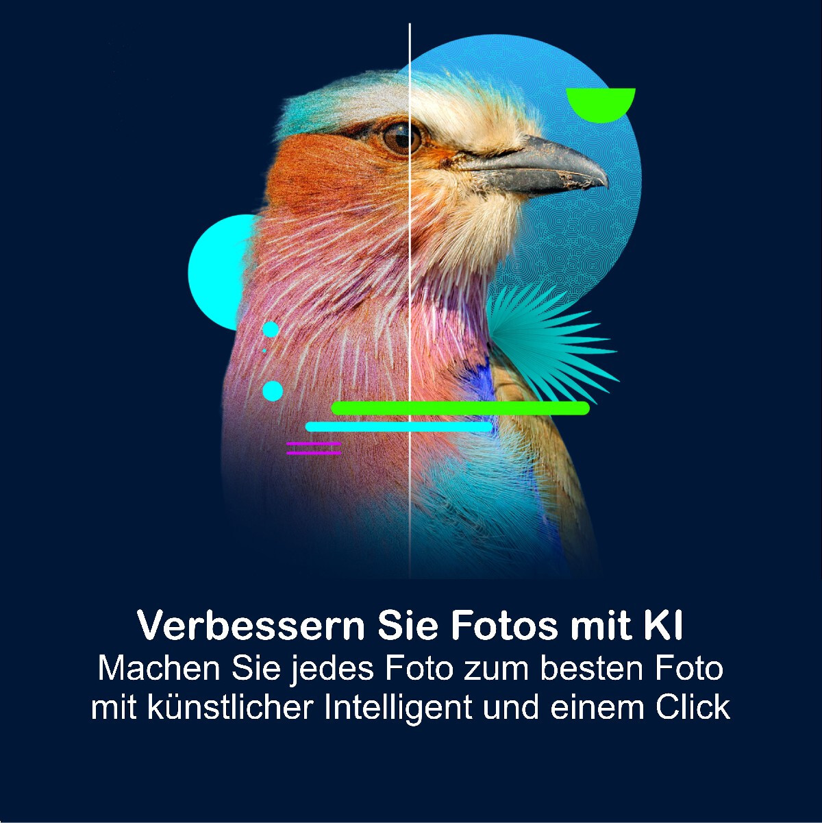 Corel PaintShop Pro 2023 Ultimate Vollversion 2 PC Dauerlizenz Download NEU