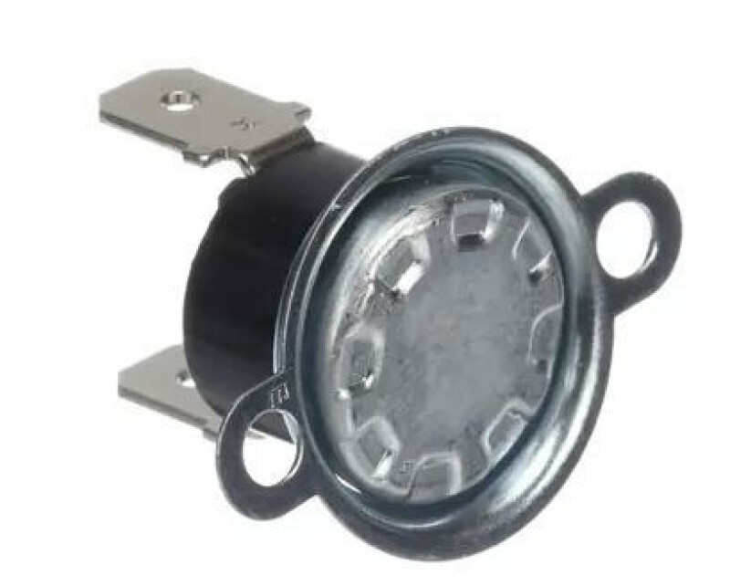 DE47-20059B - Thermostat, 120LC