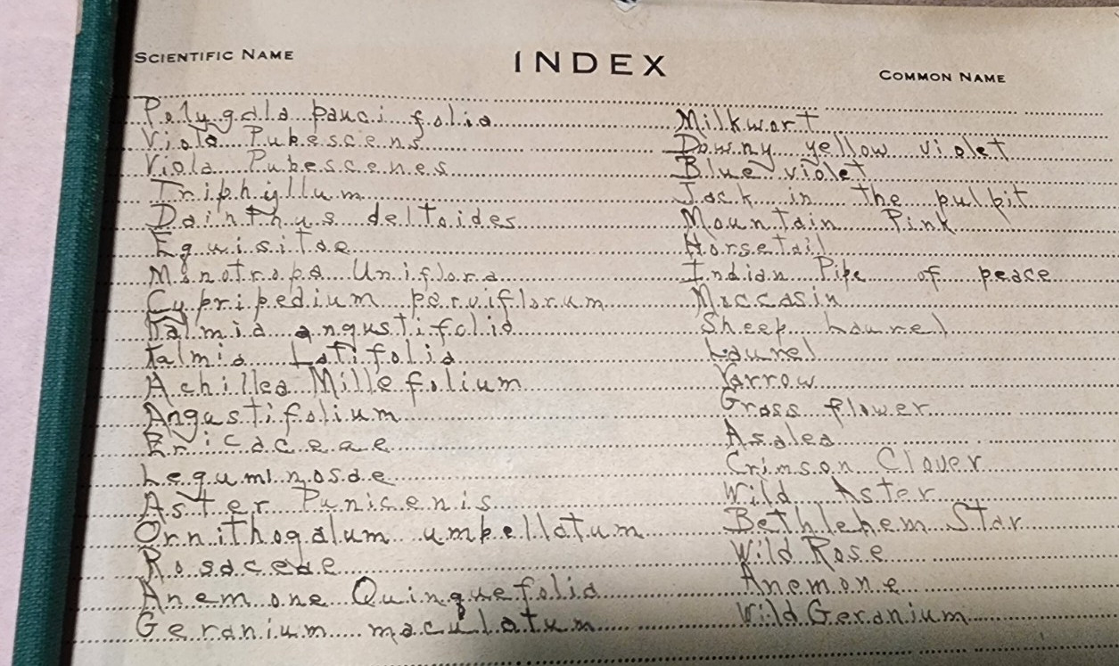 1900 Antique ATLAS HERBARIUM PLANT SPECIMINS Beckley Cardy Co. Completed 1929