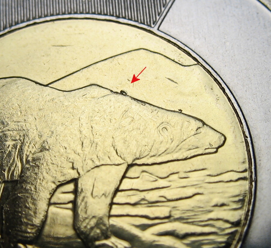 Canada 2019 $2 Polar Bear - Die Chip Error - BU ( From a new roll )