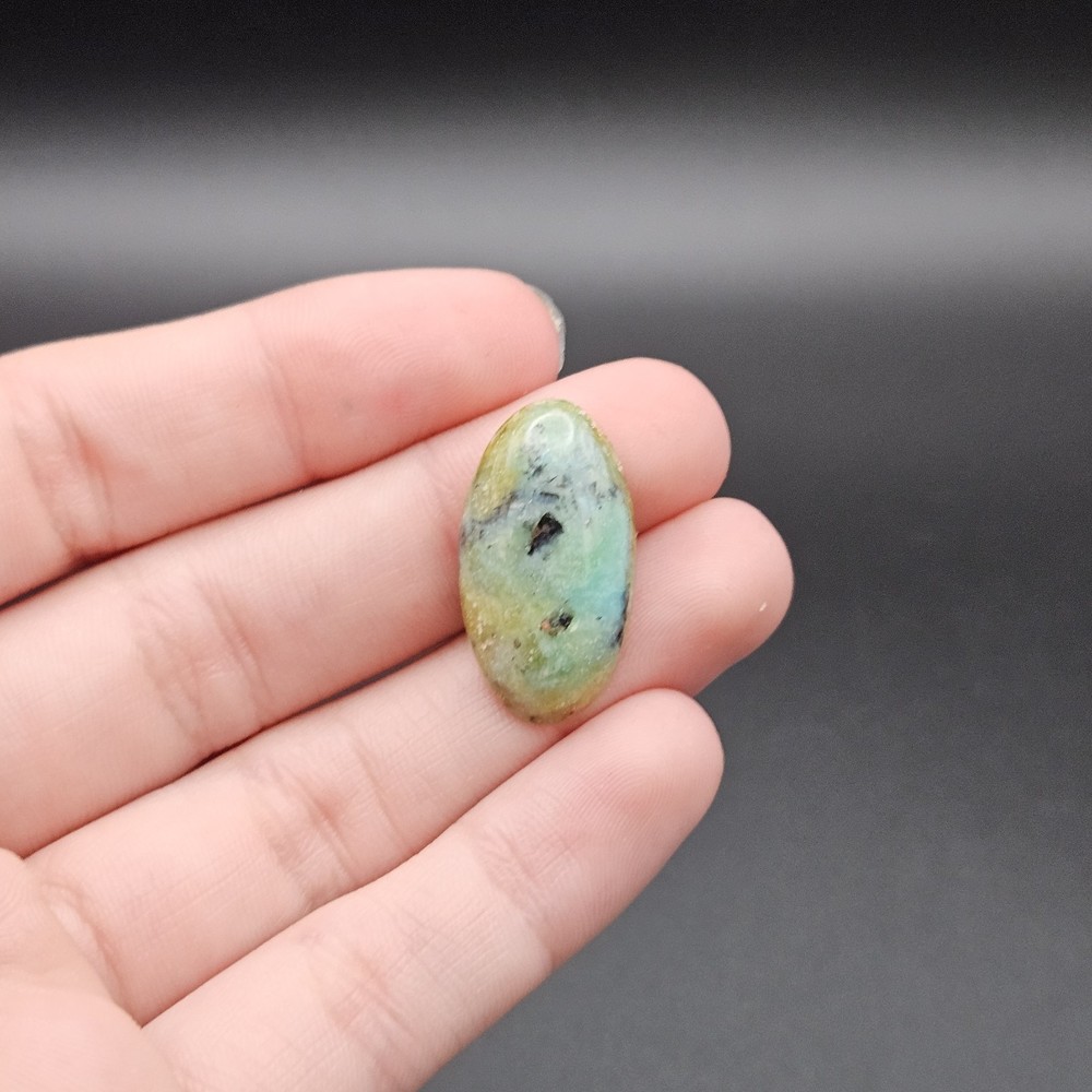Indonesian Blue Opalized Petrified Wood Cabochon