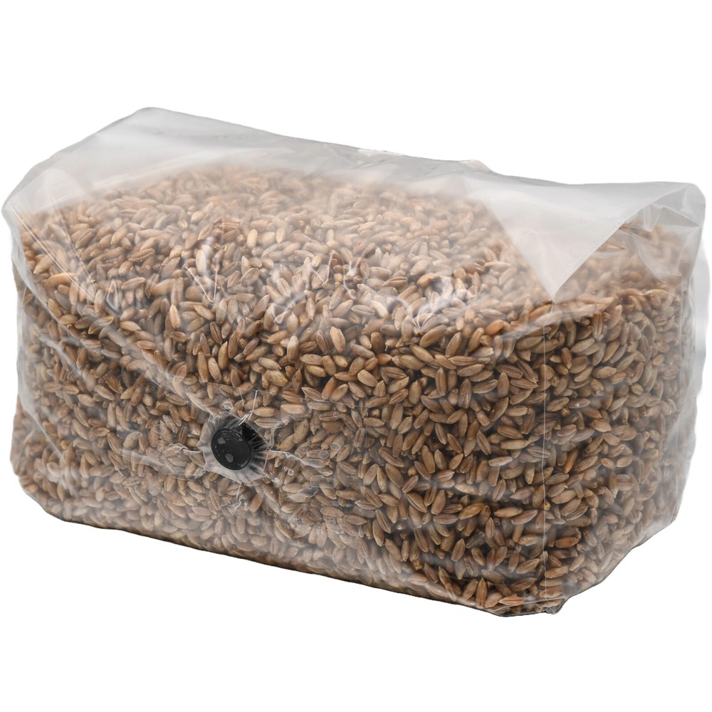 Sterilized Rye Berry Grow Bag (5lb)