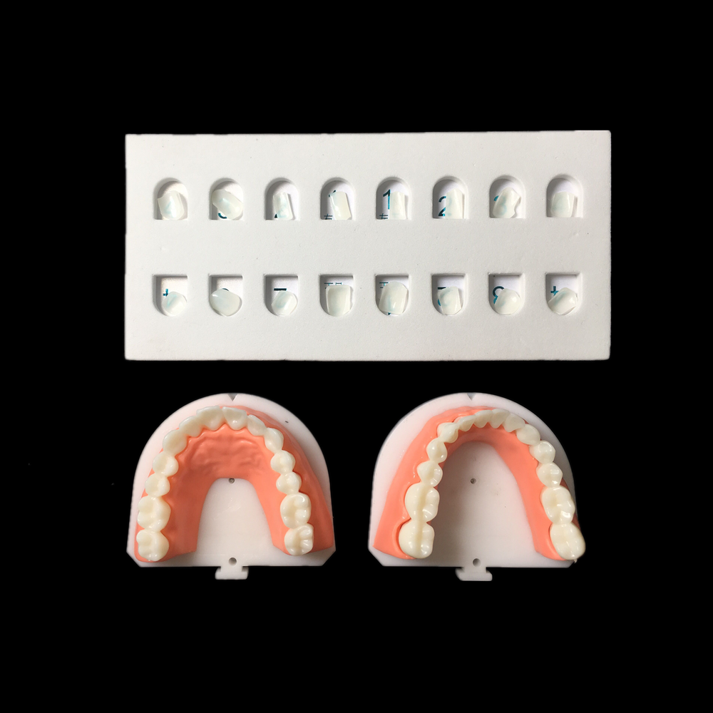 1~20Sets Dental Composite Veneer Template Model Practise Dentist Teaching