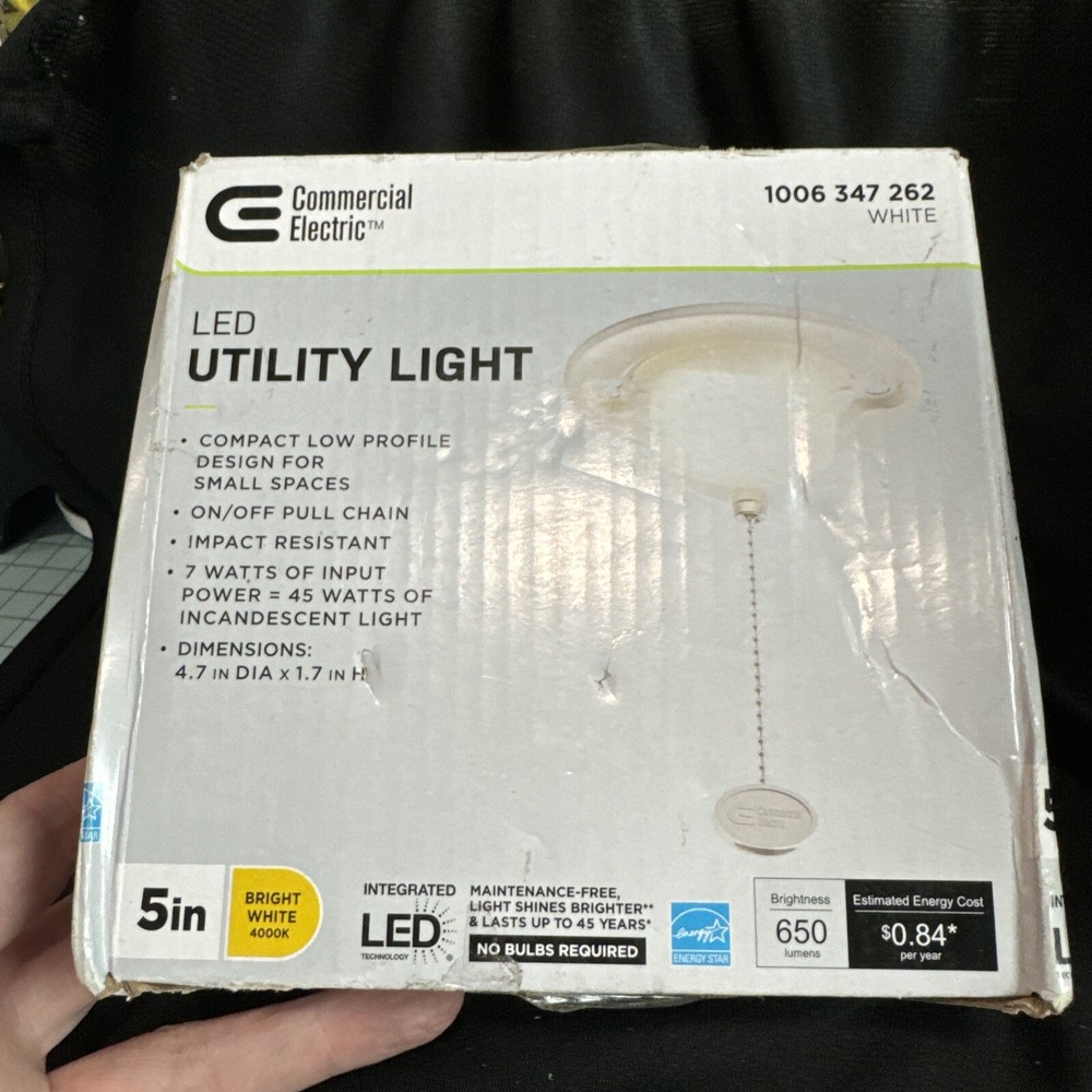LED Closet Utility Light with Pull Chain - Flush Mount, 650 Lumens, 7-Watt