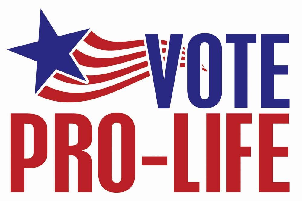 Vote Pro-Life Pro-Life Yard Sign