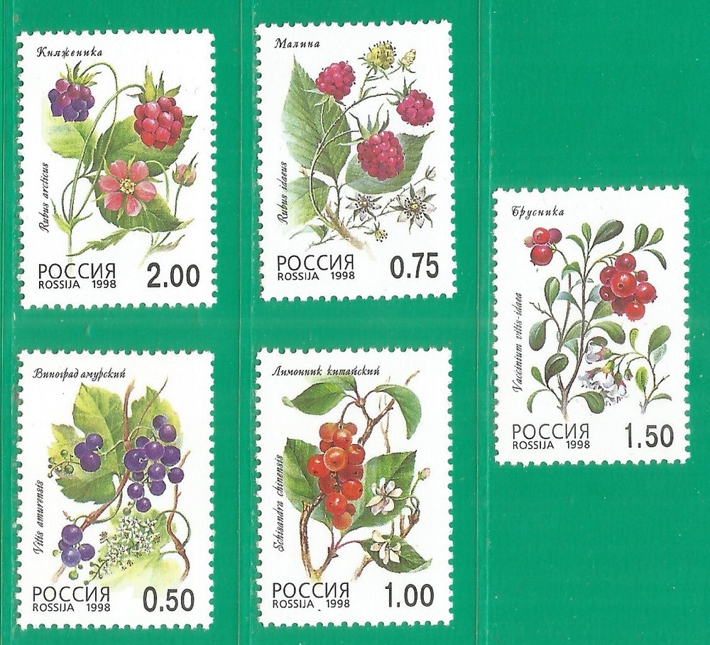 Russia 1998 mint stmps MNH** - plants