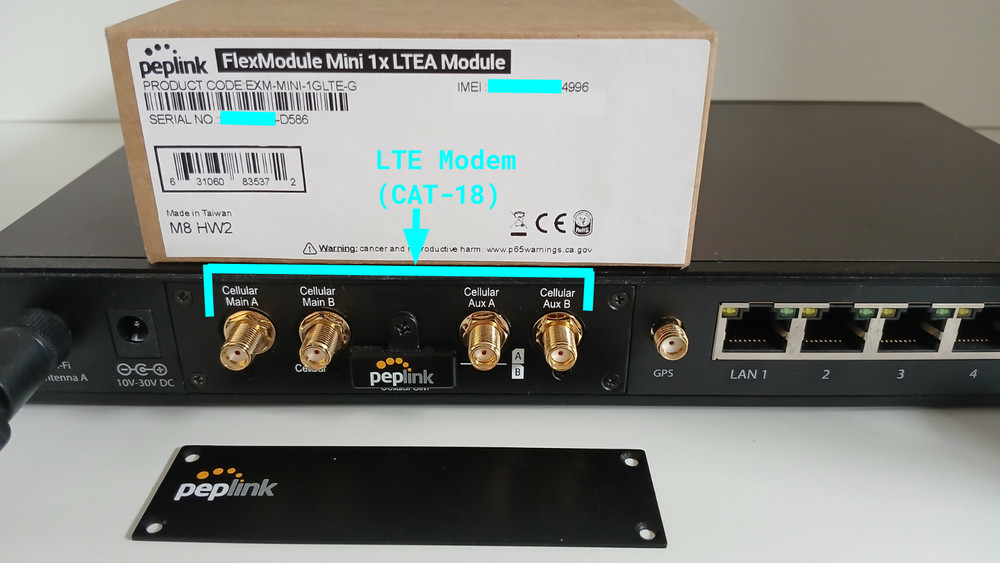 Peplink Balance 20X Router with LTE CAT-18 FlexModule Modem (Combo/Bundle)