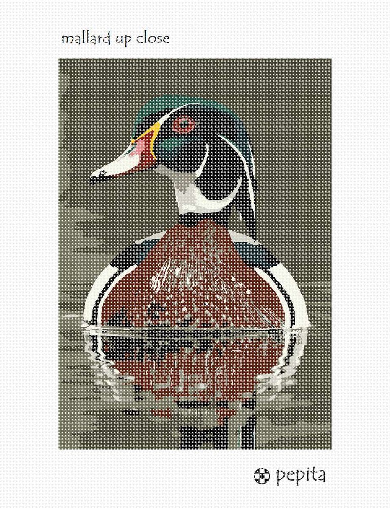 Mallard Up Close Needlepoint Kit or Canvas