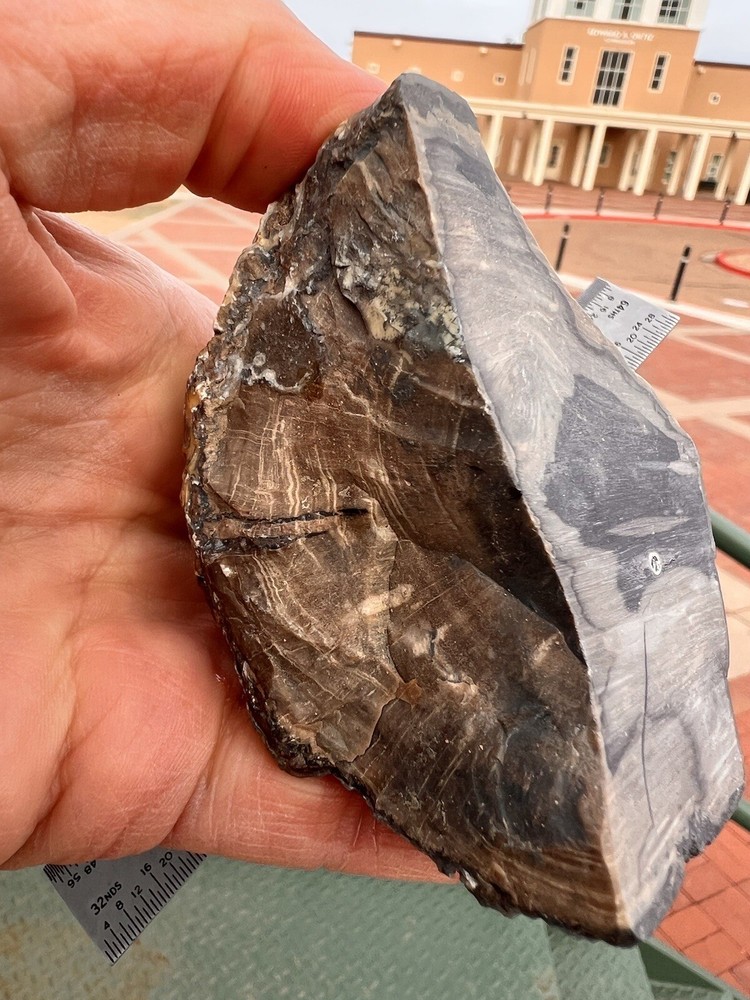 Blue forest petrified wood tree limb Dragon