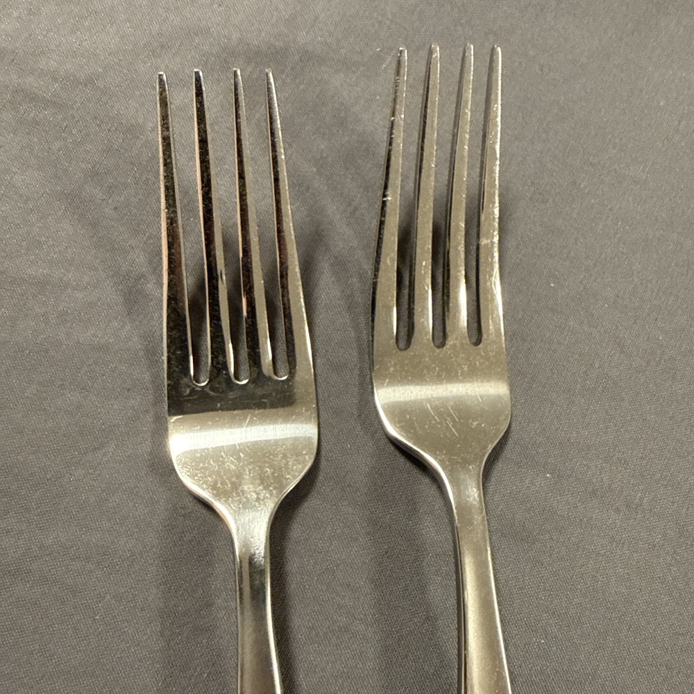 Oneida SATIN AQUARIUS Set 2 Dinner Fork Stainless 18/10 Silverware Flatware
