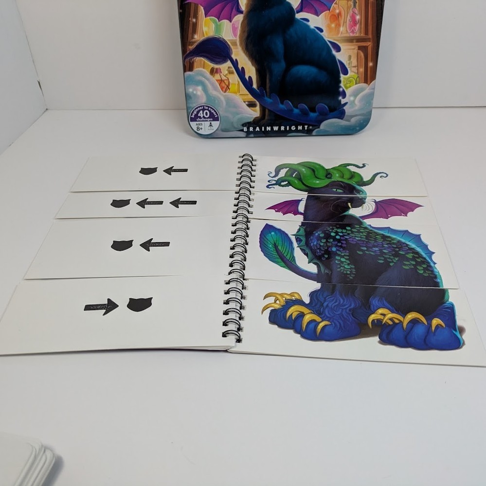 Witchy Kitty Game Magical Morphing Logic Puzzle Tin Brainwright 2017 1 Player
