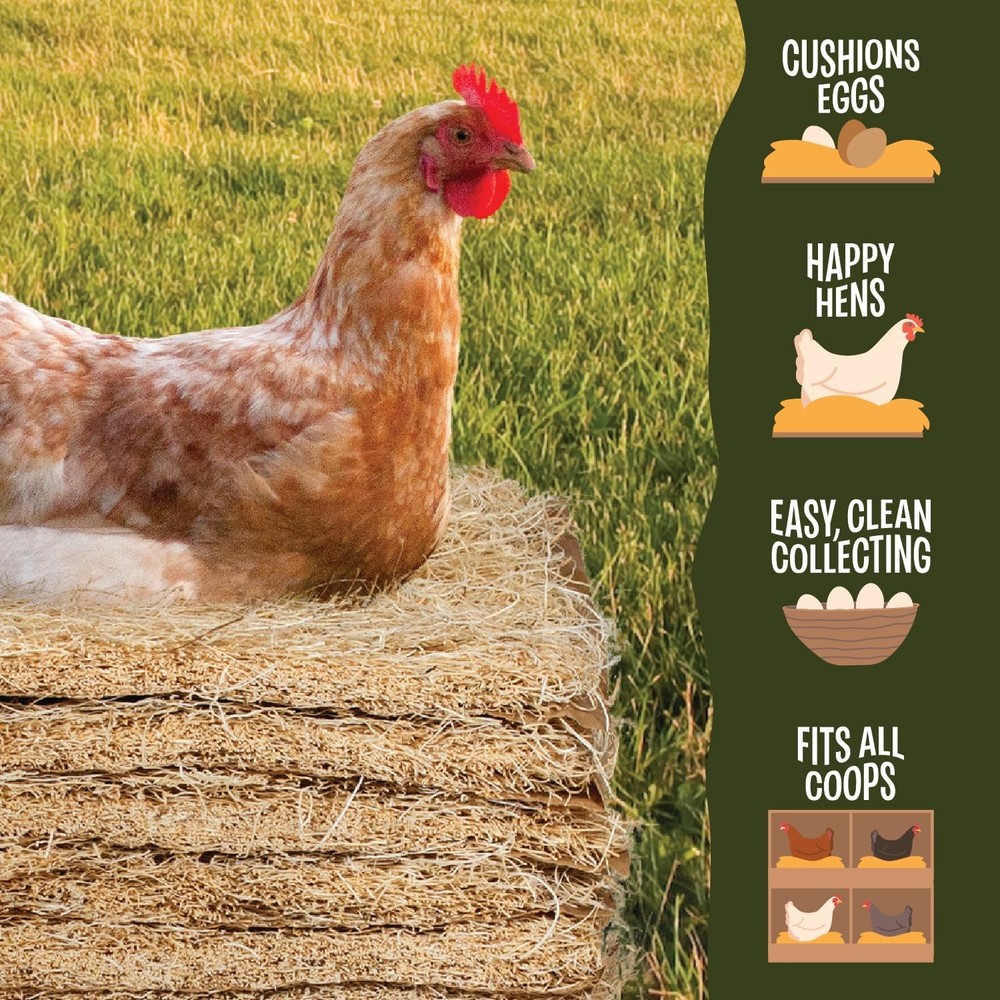Premium Aspen 12 Pack Excelsior Nesting Liners 12 Pack Chicken Bedding Nesting