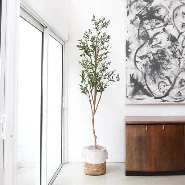 7’ Olive Minimalist Artificial Tree with Natural Trunk Home Decor. Retail $149