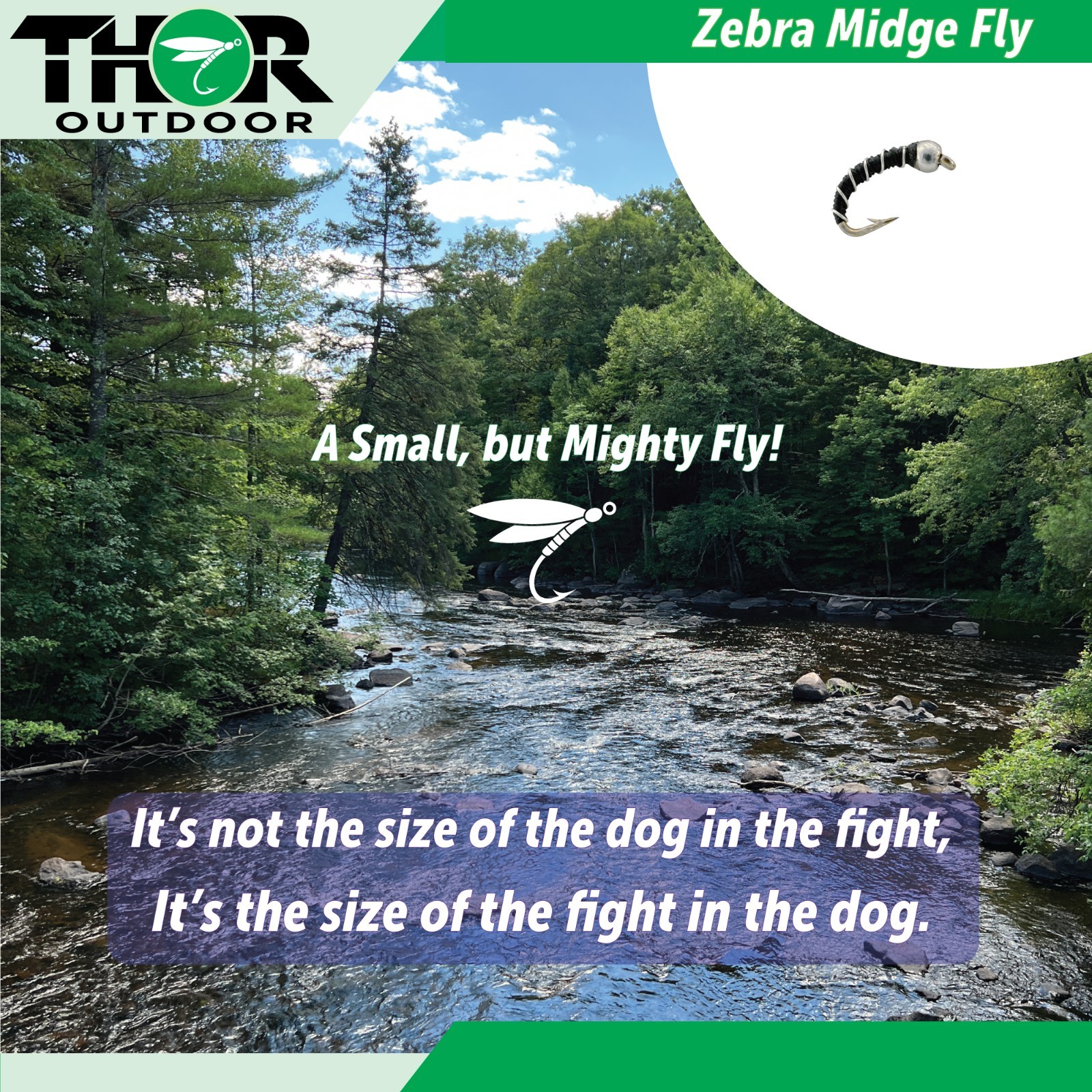 ZEBRA MIDGE Bead Head Nymph, Black - Fly Fishing Trout Bluegill Panfish Flies