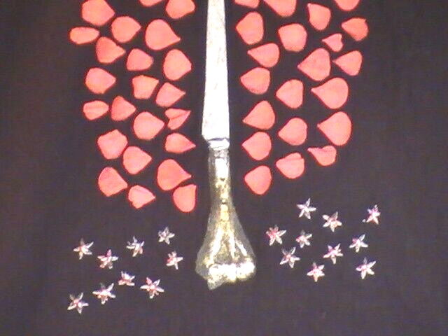 RARE Medium Rosanne Cash She Remembers Everything T Shirt Dagger Rose Petals