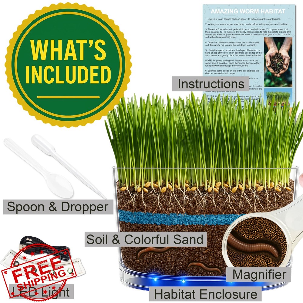 ES EVVIVA SCIENCES Worm Habitat Kit Science Ecosystem Container