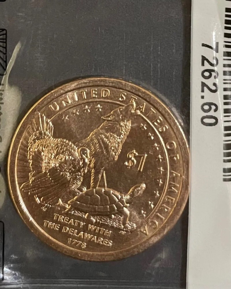 Native American Dollar 2013