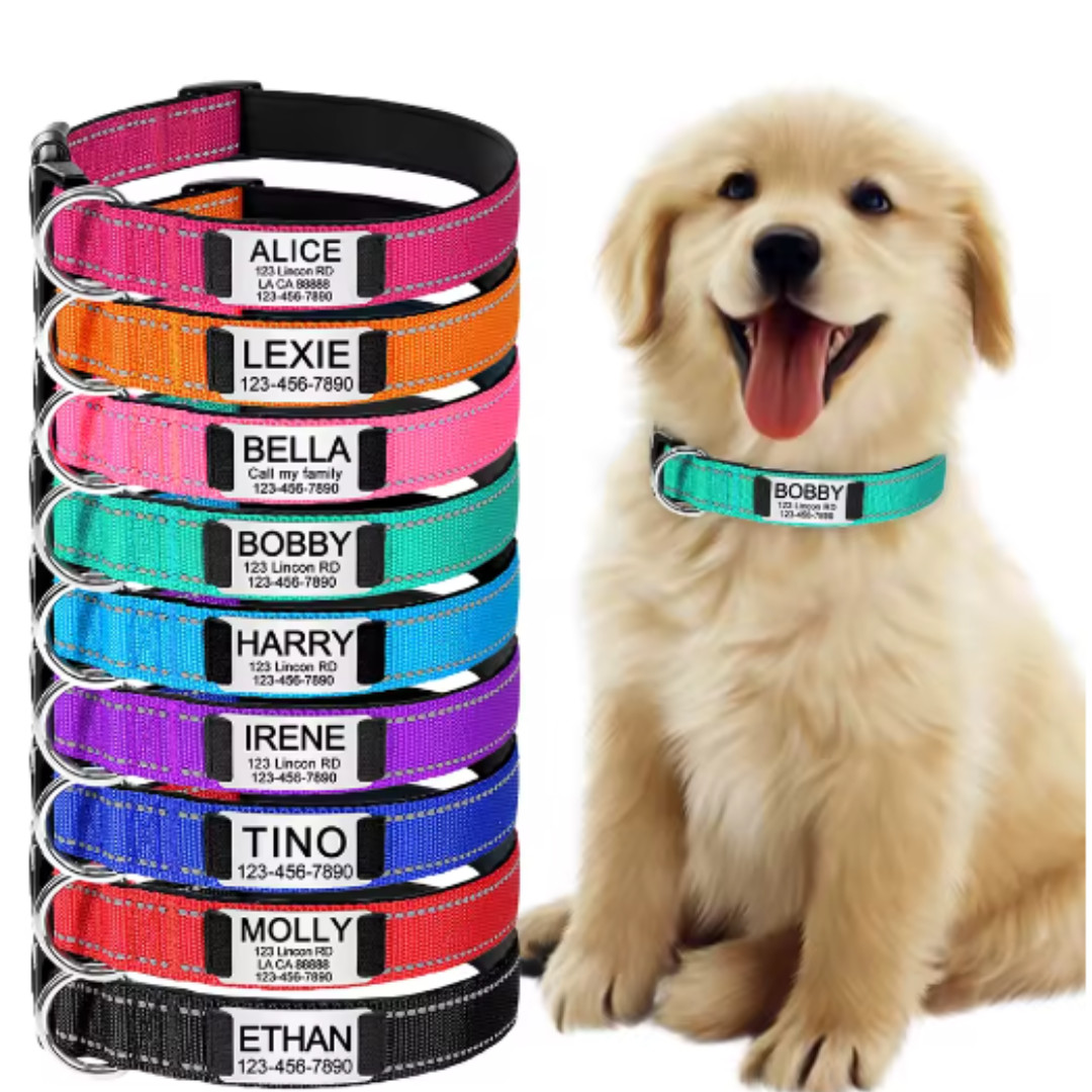 Reflective Nylon Dog Collar Custom Name, Personalized Pet ID Tag Adjustable XS-L