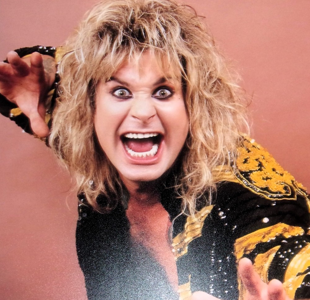 Large Ozzy Osbourne The Ultimate Sin Promo 1986 (Black Sabbath) Poster 19"x13"