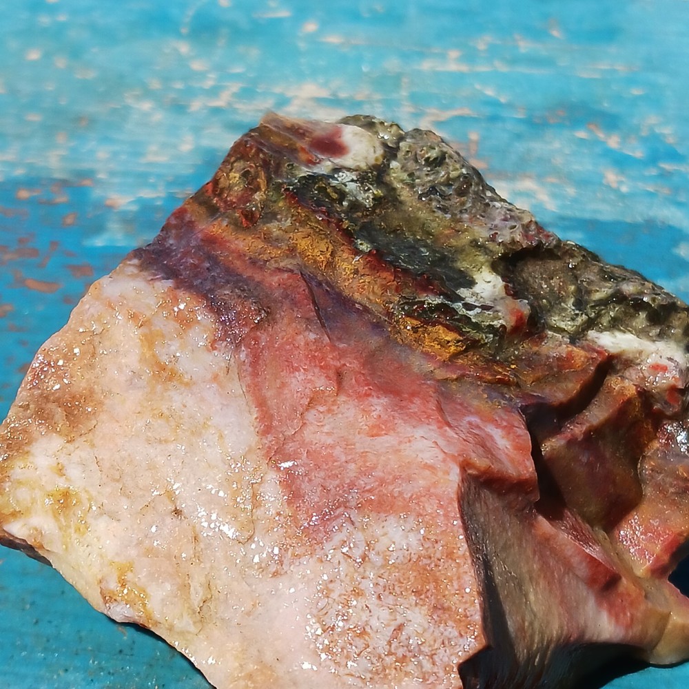 Murray Mountain Jasper Unique Rough Lapidary Potential