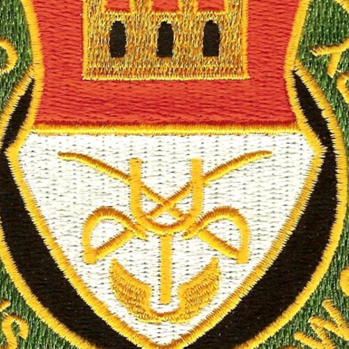 202nd Cavalry Regiment Patch