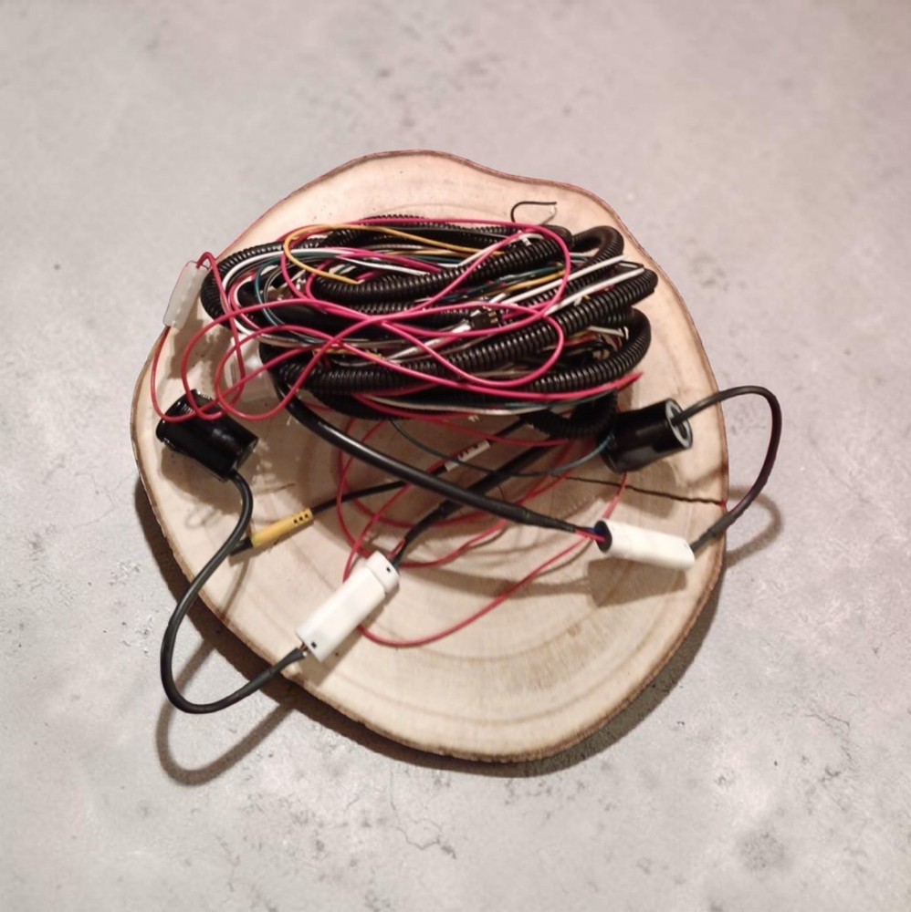 Adapter Wiring Harness for bk up sensor