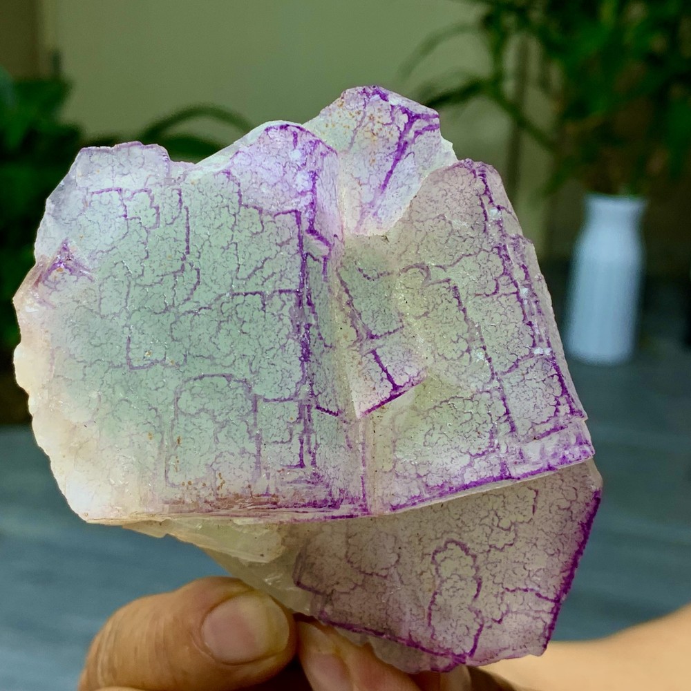 3 Code"Fluorite Cluster Crystal Mineral Specimen/Guizhou