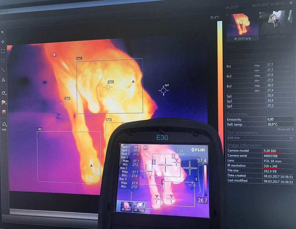 FLIR T540 EST T 540 T530 E75 E4 E5 E6 PRO E76 E30 Upgrade REMOTELY