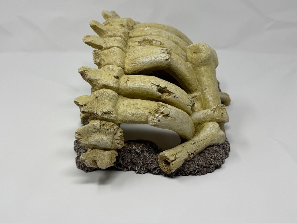 Bones Aquarium Decoration for Reptile