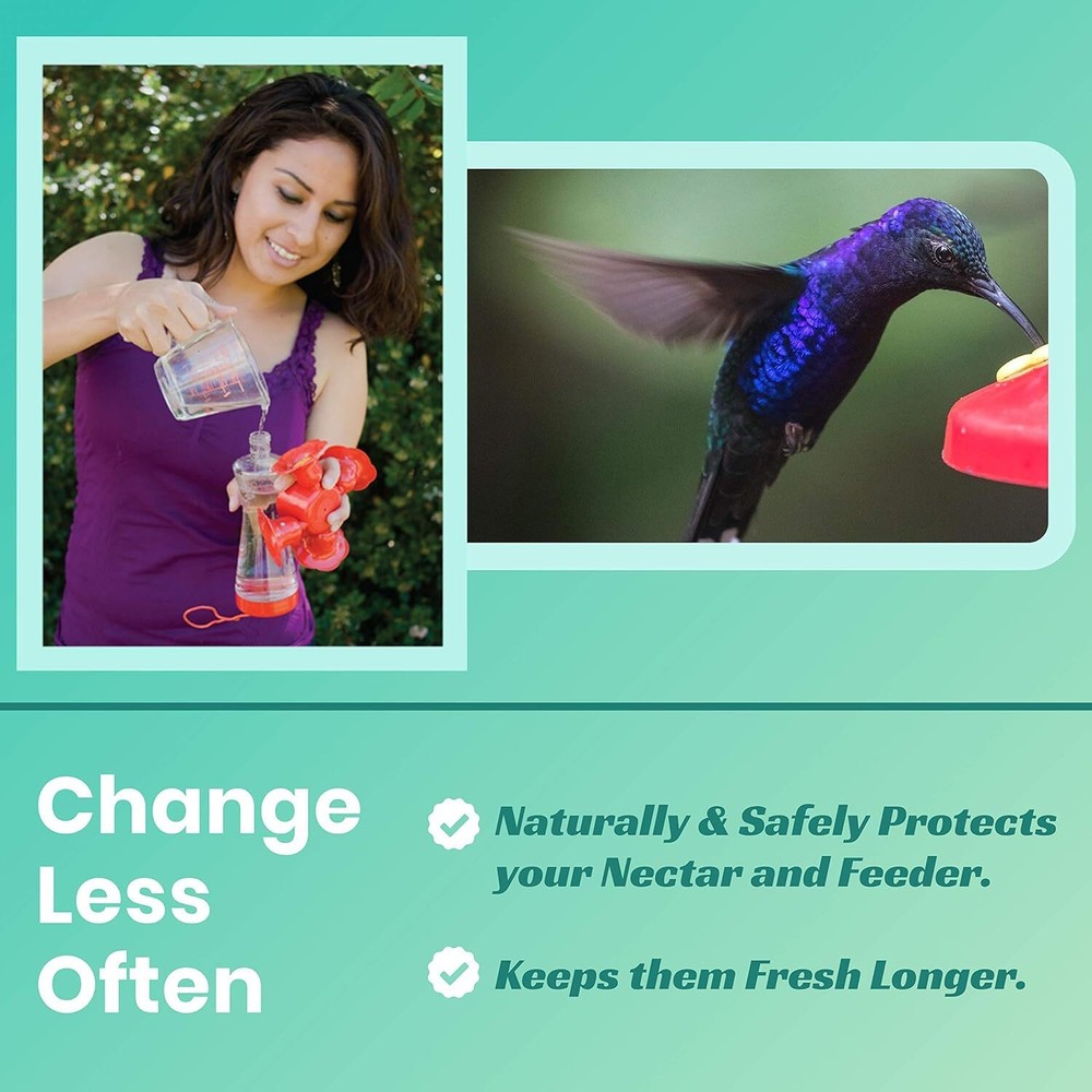 Hummingbird Feeder Fresh Nectar Defender