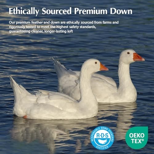 Down Comforters Size, 100% Cotton Duvet Insert, Extra Fluffy White Queen