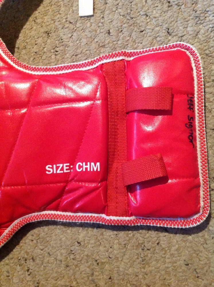 So's Tae Jw on Do Chest Protector, Reversible, Size CHM. SLIGHT USE.