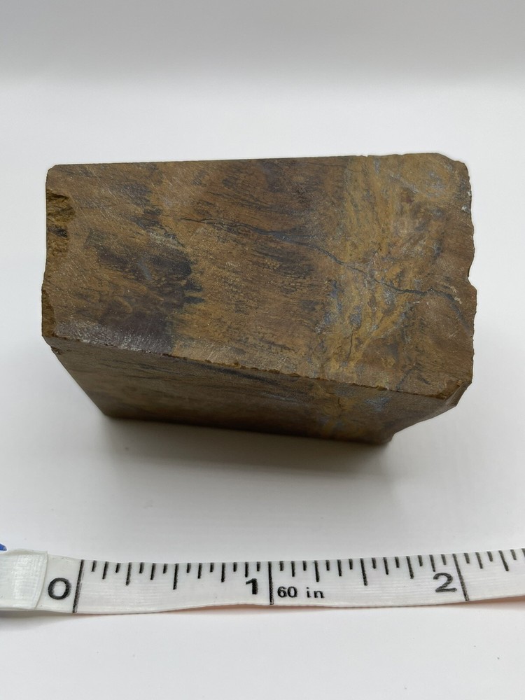 Petrified wood