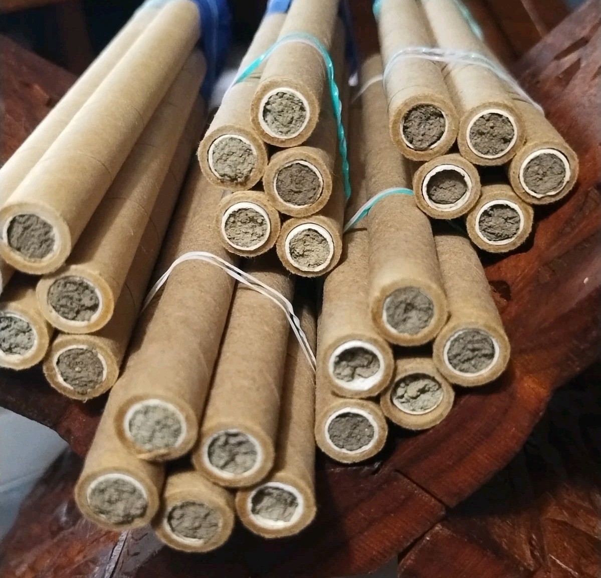 GARDENER GIFT! 5 Tubes LIVE 2025 BLUE ORCHARD MASON BEES COCOONS Spring Emerge