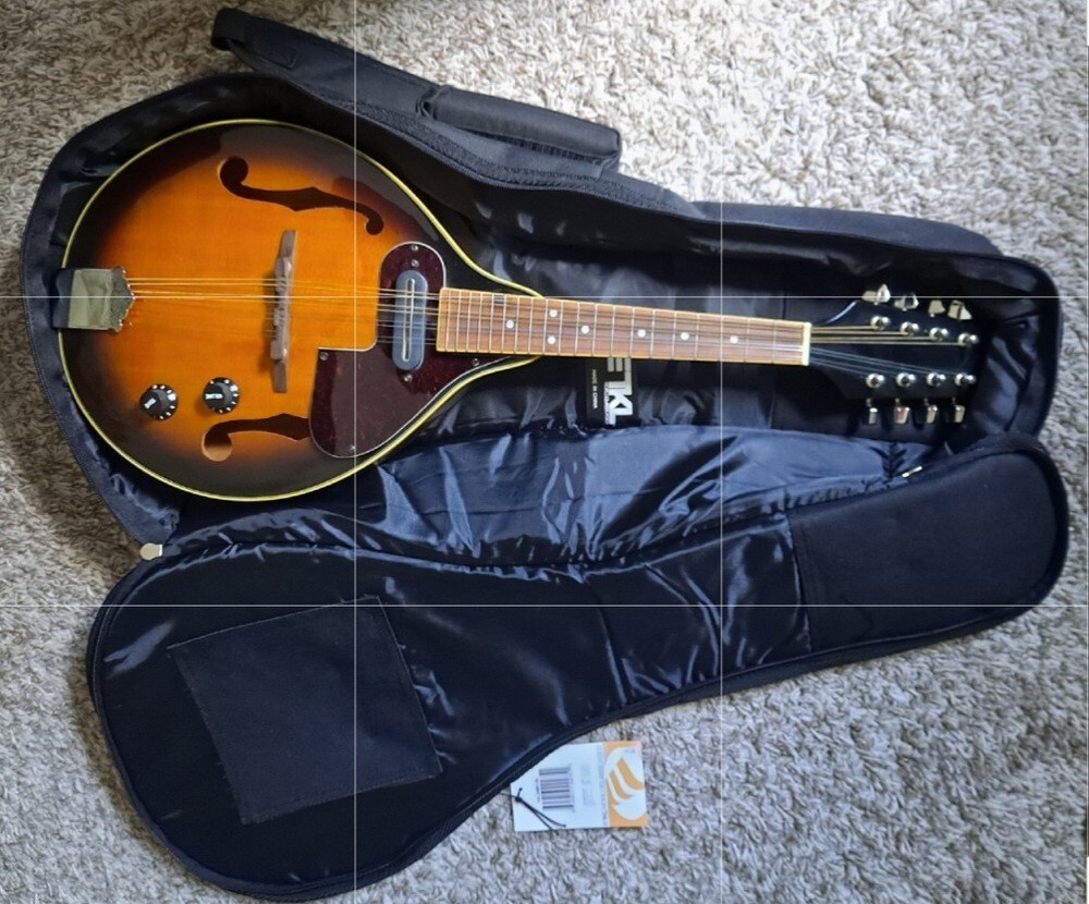 NEW ELECTRIC MANDOLINE S101 MFR44EVS STRING INSTRUMENT