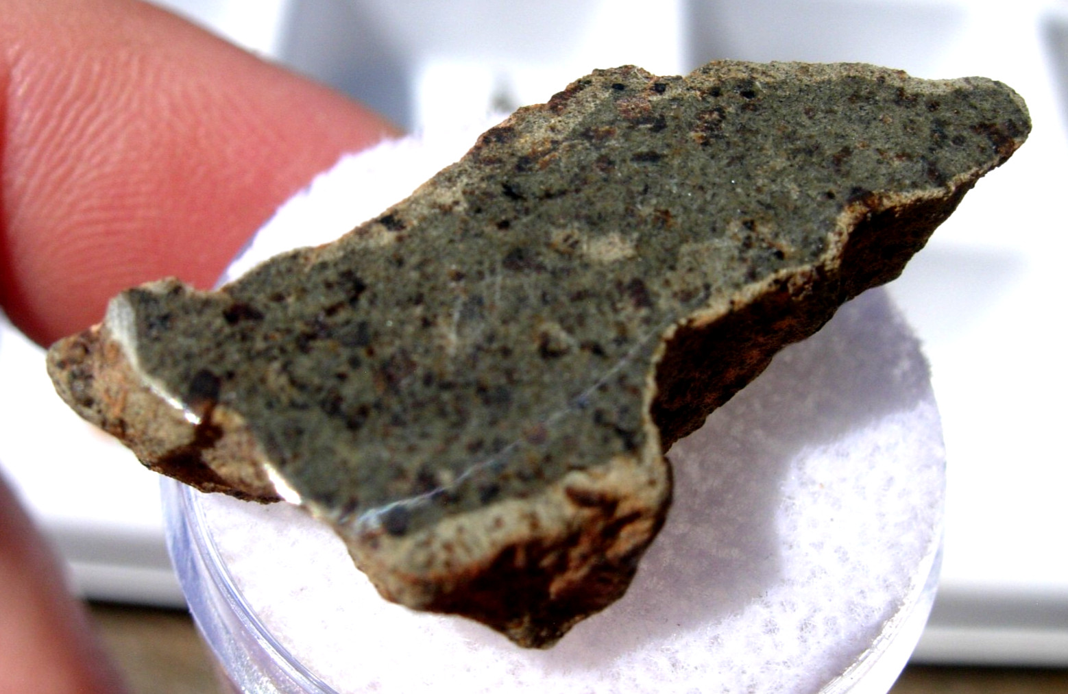 6.37 grams 33x13x8mm Amgala 001 Martian Meteorite SLICE one side Polished + COA