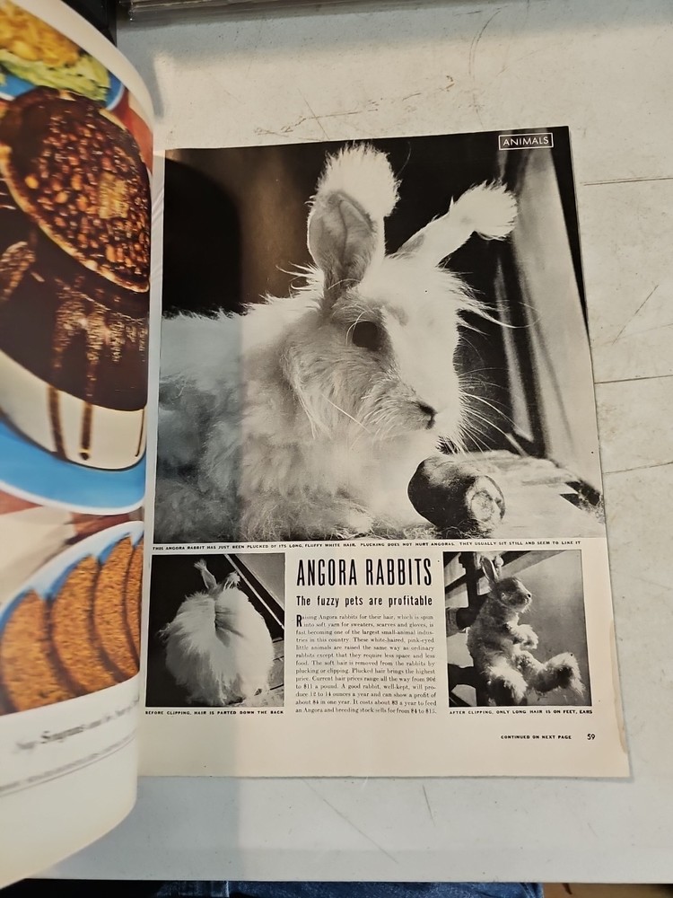 LIFE MAGAZINE. March 26, 1945. WWII ERA Carol Lynne By Mili