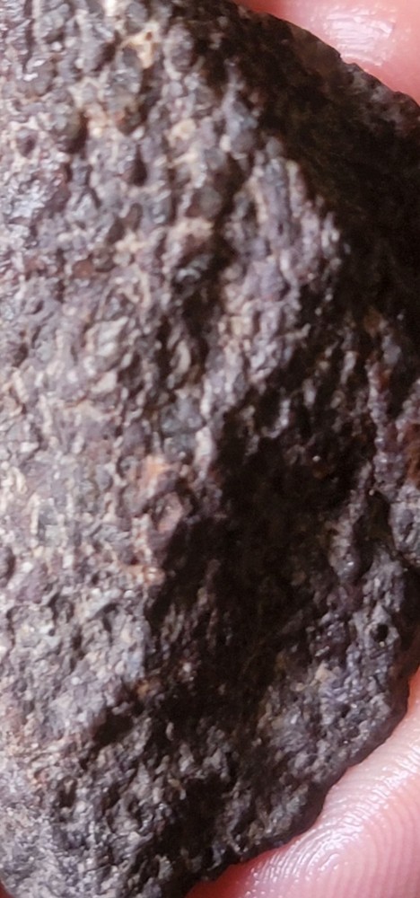 2.78 Lbs Agitized Dino Bone Smalls