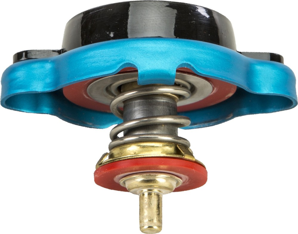 FIRE POWER Radiator Cap With Temperature Gauge #12314524