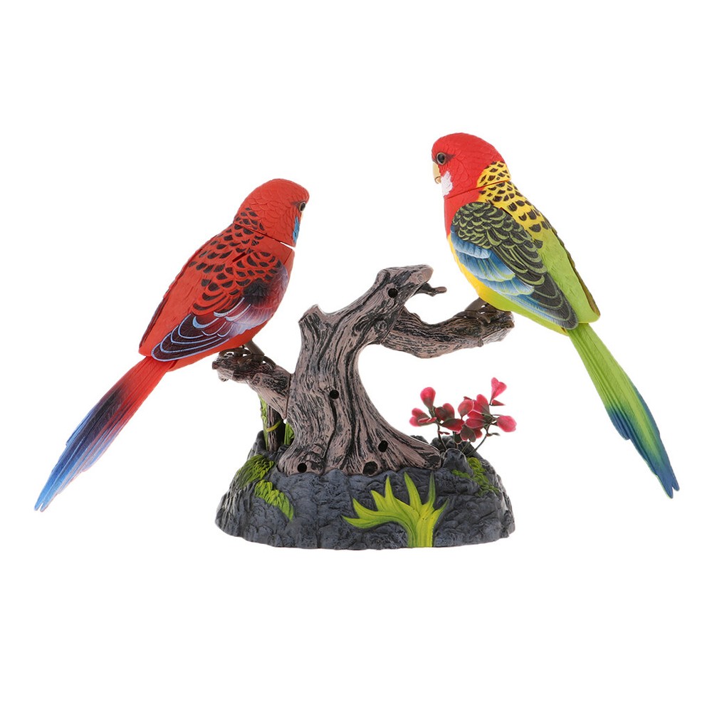 Recording Session Learning Parrot Voice Controlled Children's Induction Toy
