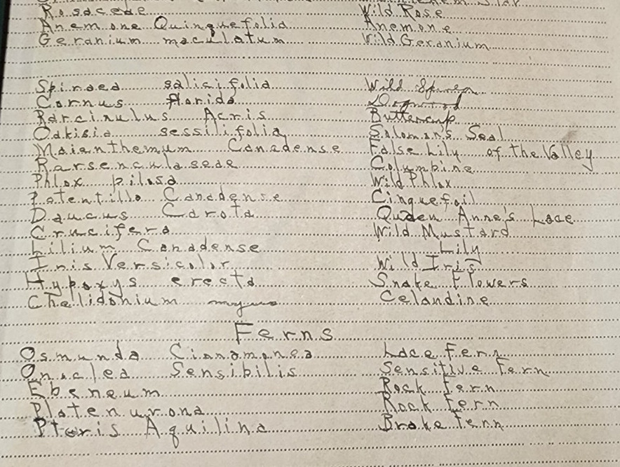 1900 Antique ATLAS HERBARIUM PLANT SPECIMINS Beckley Cardy Co. Completed 1929