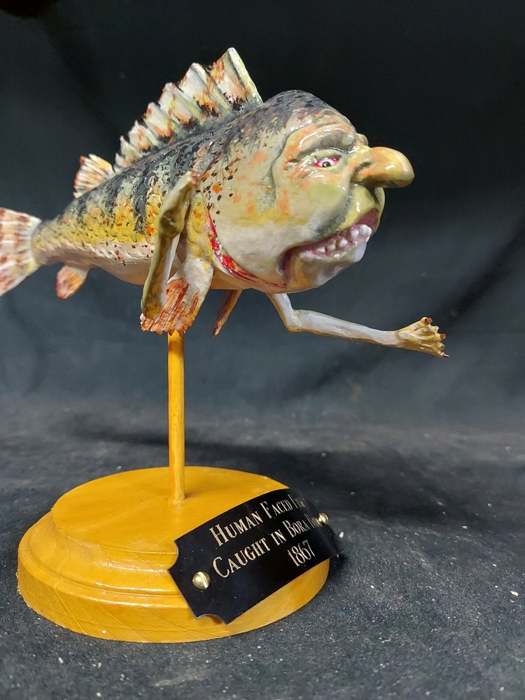 Fish with Human Face from Bora Bora,ODDITY, SIDESHOW GAFF,BIZARRE,freak,deformed
