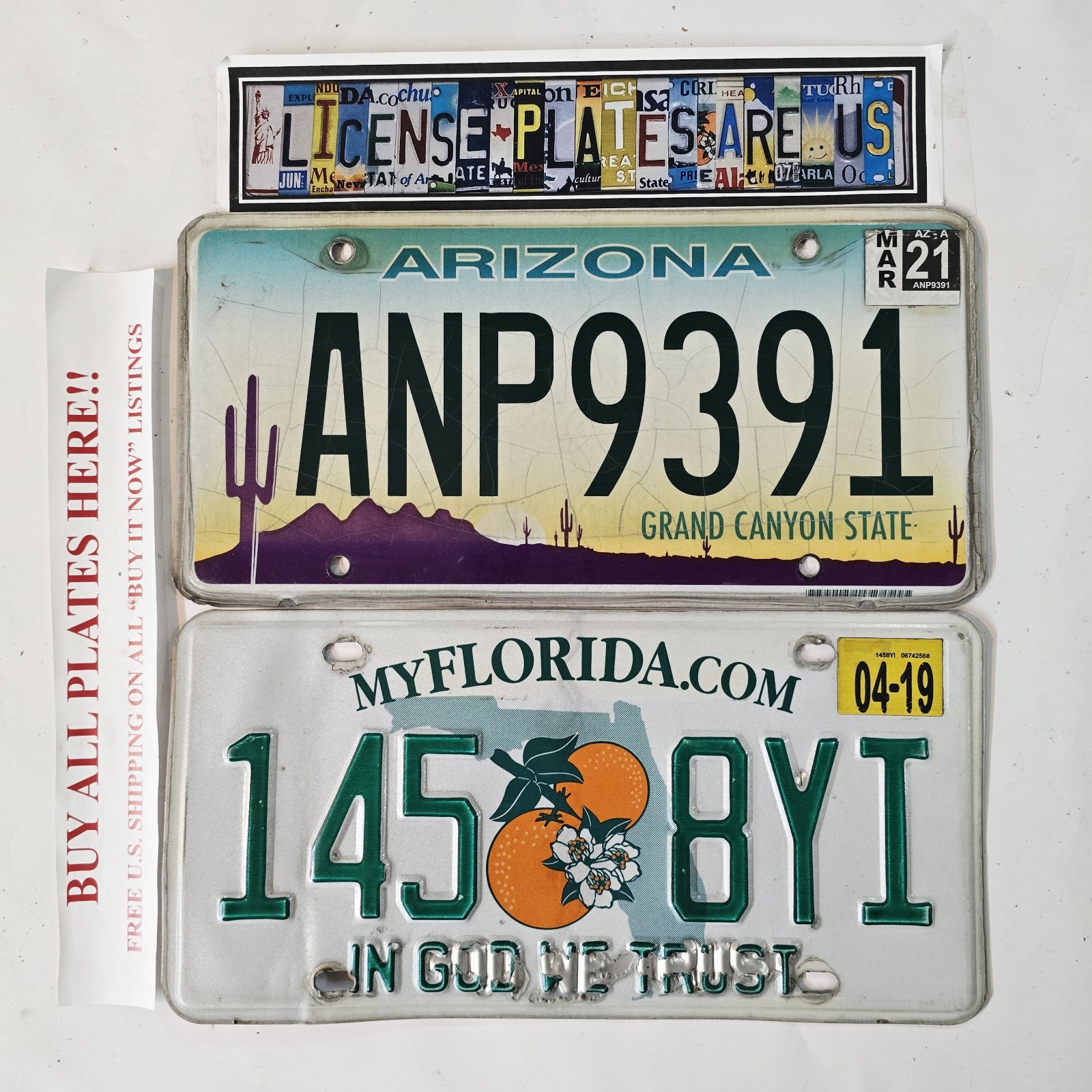Florida & Arizona License Plate Lot 2 Authentic Tags ANP9391 - 145 8YI 2