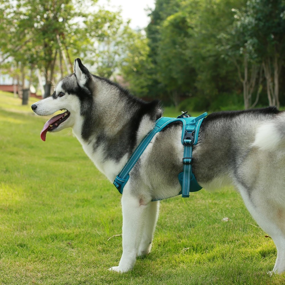 Dog Harness Dual Leash Attachment No-Pull Control Adjustable Soft b... Fast Ship