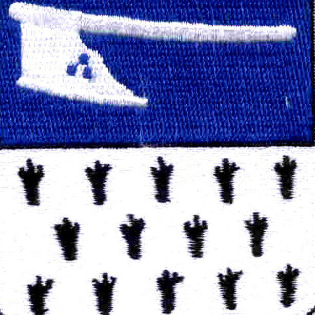 271st Infantry Regiment Patch