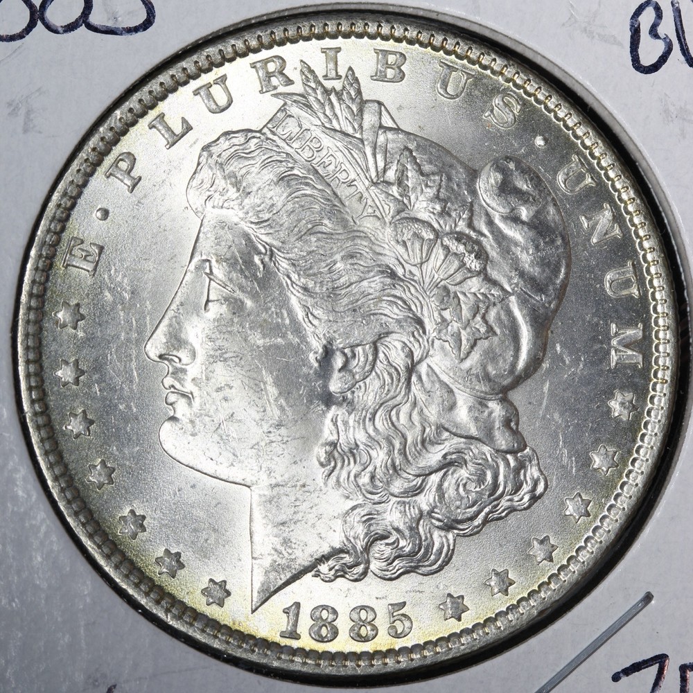 1885 Morgan Silver Dollar BU *UNCIRCULATED* MS TONED E343 AWMM