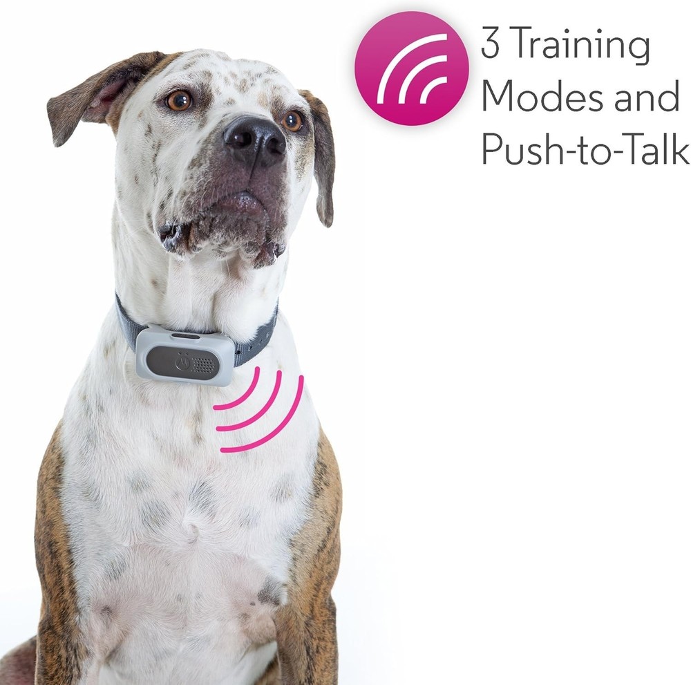 Motorola Pet Rechargeable Advanced Remote Training System with 3 Training Modes