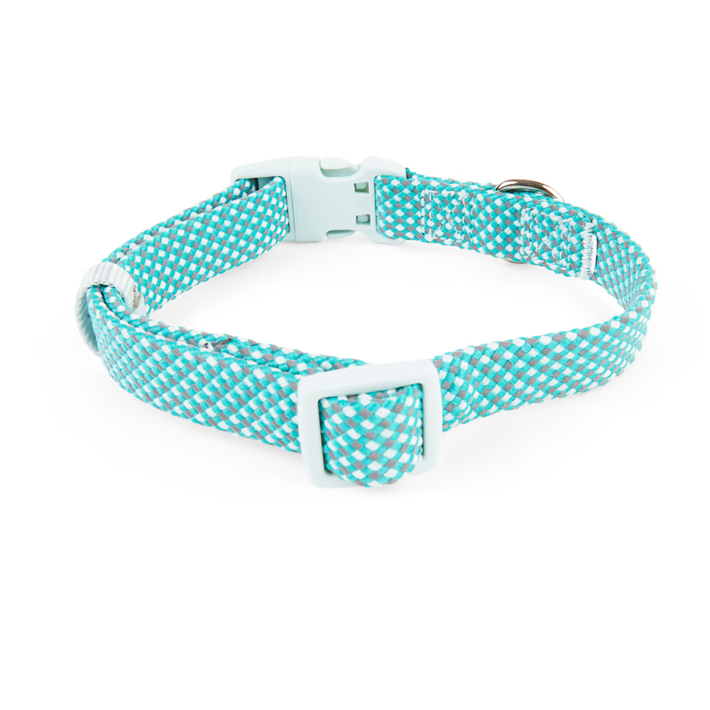 YOULY The Protector Teal Reflective Dog Collar, Small