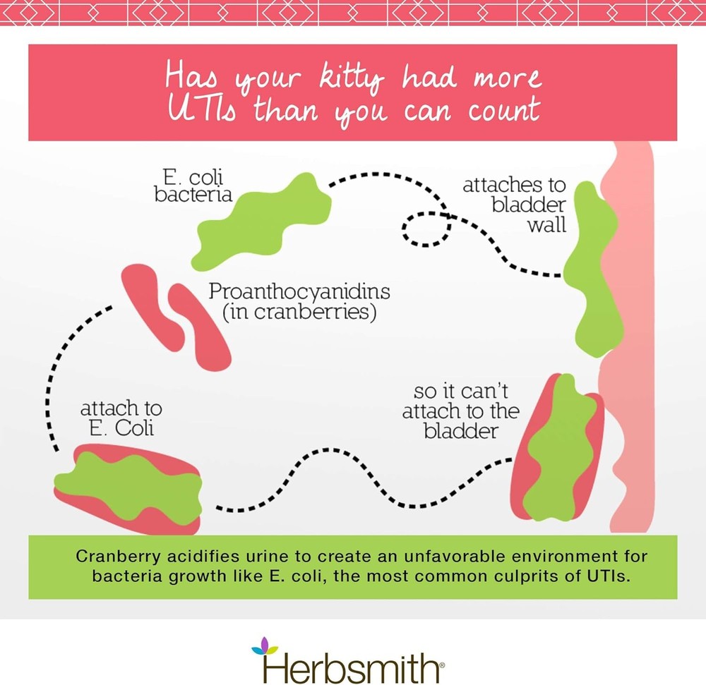 Herbsmith Bladder Care for Cats – Urinary & Kidney Support, 75g